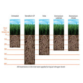 Hectarul - Ingrasamant gazon  Sierraform GT K-Step 06+00+27+2Mg+ME ICL Specialty Fertilizers (Everris International) 20 kg